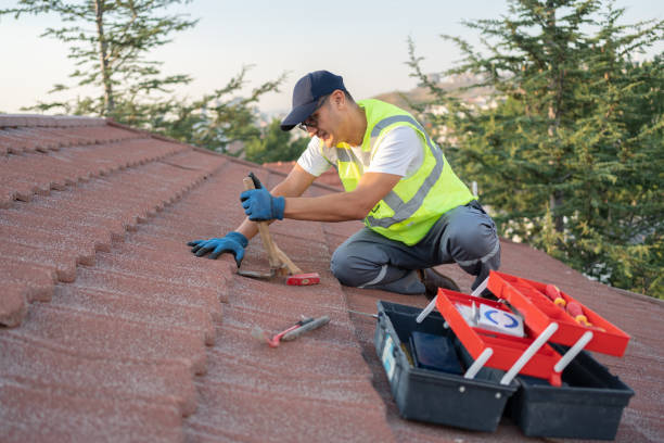 Best Roof Leak Repair  in Lake Telemark, NJ